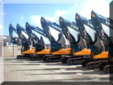 Over 425 plant avalible at anytime